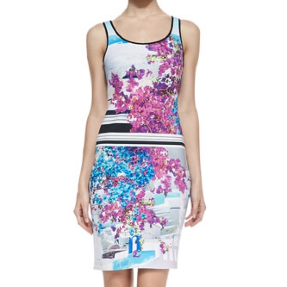 Clover Canyon Santorini Striped Scuba Dress 💙💜